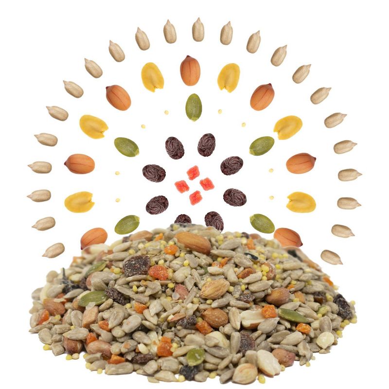 Melody Select 5lb Waste Free Nut &#38; Fruit Bird Food, 3 of 10