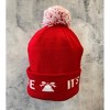 Arctic Gear Adult Hats Limited Edition - 2 of 4