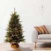 4' Prelit Evergreen Artificial Christmas Tree in Burlap Bag Clear Lights - National Tree Company - 2 of 4