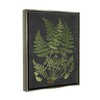 Stupell Industries Botanical Drawing Green Black Design - 3 of 4