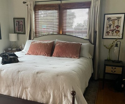 Guest review image 2 of 3, zoom in