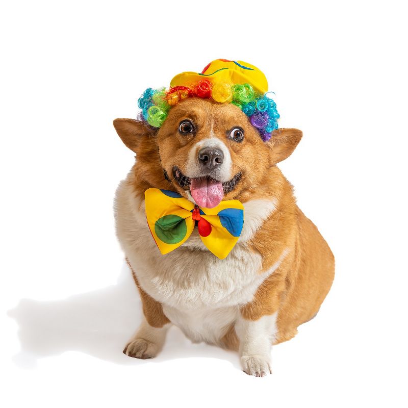 Midlee Clown Dog Costume Hat Wig & Bowtie, 1 of 10