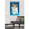 Trends International Keith Kimberlin - Kitten - Queen Unframed Wall Poster Prints - 2 of 4