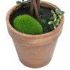 VidaXL Artificial Boxwood Plants 2 pcs with Pots Ball Shaped Green 22" - 4 of 4