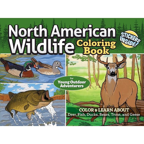 North American Wildlife Coloring Book For Young Outdoor
