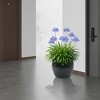 KTMBDW Ceramic Plant Pots Set of 3, Planters with Drainage Holes, Flower Pot Outdoor Indoor - 2 of 4