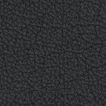 jacksonville jaguars