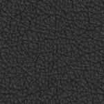 jacksonville jaguars