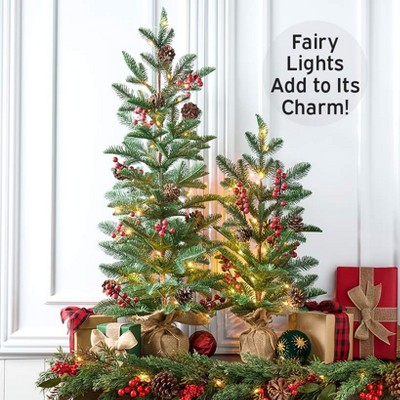 The Lakeside Collection Lighted Country Pencil Pine Tree - 24"