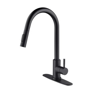 Chery Life Kitchen Faucet with Pull Down Sprayer, Black - 1 of 4