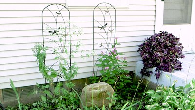 Black Steel Dragonfly Design Garden Trellis Set - 55.75" H - 2-Pack
