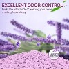 Allforpaws Natural Tofu Cat Litter, Green Purr Eco Cat Litter with Strong Odor Control, 4.5kg (2 X 2.25kg) - 4 of 4