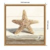 Amanti Art Driftwood Shell III by Danhui Nai Canvas Wall Art Print Framed 16 x 16-in. - 4 of 4