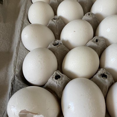 Grade A Extra Large Eggs - 12ct - Good & Gather™ : Target