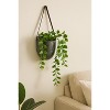 Napa Home & Garden Small Wall Planter Pot - 3 of 3