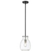 Z-Lite Bella 1 - Light Pendant in  Matte Black/Brushed Nickel - 3 of 4