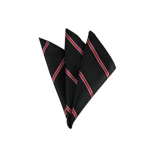 TheDapperTie - Men's Stripe Woven 10 Inch x 10 Inch Pocket Squares Handkerchief - 1 of 3