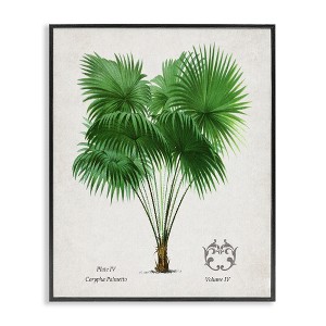 Stupell Industries Vintage Fan Palm Plant Framed Giclee Art - 1 of 4