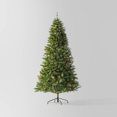 Wondershop alberta spruce lit tree top