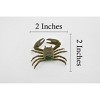 Collectible Wildlife Gifts | Crab, Striped Shore Crab, Rubber, Crustaceans, Realistic, Hand Painted,  Figurine,  Gift,    2 1/4"    F934 B157 - 3 of 4