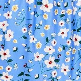 blue 2