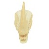 Collectible Wildlife Gifts | Rhino, Rhinoceros Skull, Plastic Toy Animal,  Gift, Realistic Figure, Educational Model,  Gift,       2"      F4119 B193 - 3 of 4