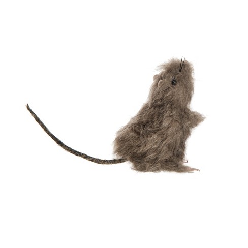 The Holiday Aisle® 6 Piece Halloween Rat Decorative Accent