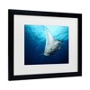 Trademark Fine Art - Roberto Marchegiani  Manta Fly Matted Framed Art - 3 of 4