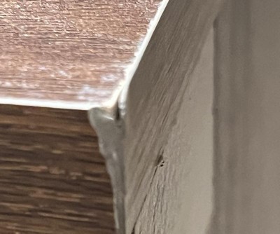 Guest review image 2 of 4, zoom in