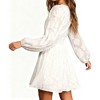 Women's Casual Mini Dress Long Sleeve V-Neck High Waist, Flowy A-Line Chiffon Dress for Daily Wear - 4 of 4