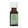Aura Cacia Sweet Basil Pure Essential Oil - 0.5 fz - 3 of 4