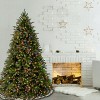 7.5' Prelit Jersey Fraser Fir Artificial Christmas Tree Multicolor Lights - National Tree Company - 2 of 4
