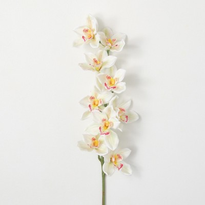 Photo 1 of ***NON-REFUNDABLE 3-PACK BUNDLE***
Sullivans Artificial Orchid Stem 36"H