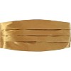 Gioberti Men's Adjustable Satin and Paisley Cummerbund Set - 2 of 2