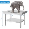 Stainless Steel Equipment Stand 28" x 48" with Undershelf, NSF Certified Heavy Duty Grill Table, Ideal for Home, Restaurant, and Hotel Use - 4 of 4