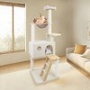 wood cat tree with large condo wood ladder and transparent spacecraft 165cm - 4 of 4