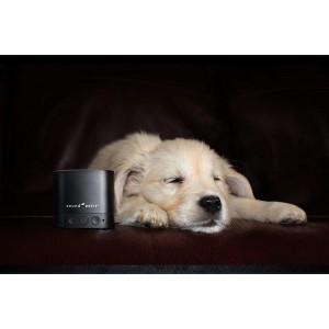 Sound Oasis® Bluetooth Pet Sound Therapy System - Pet Sound Therapy System® with Bluetooth® BST-80-20P - 1 of 4