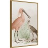 Amanti Art Antique Chroma Waterbirds II by  Framed Canvas Wall Art - 3 of 4