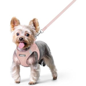 rabbitgoo Dog Harness Small Sized and Leash Set, Step in Soft Light Puppy Pet Harness, Reflective for Safe Outdoor Walking, Pink XS - 1 of 1
