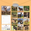 The Gifted Stationery 2025 Square Wall Calendar, Donkeys, 16-Month Animals Theme with 180 Reminder Stickers (12 x 12 In) - 4 of 4