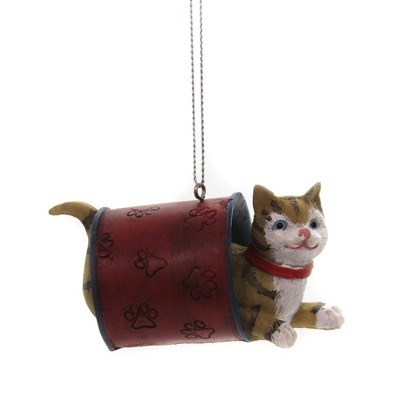 3.25 In Kitten Playing Playful Cat Feline