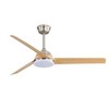 TOBILI 52 Inch Ceiling Fan with 22W LED Light and 5 ABS Blades for Living Room - 2 of 4