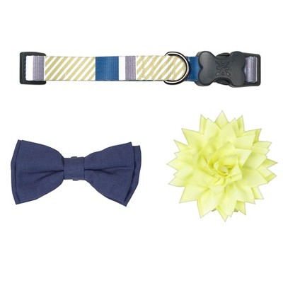 Stripe Dog Collar With Bow Tie \u0026 Flower 