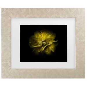 Trademark Fine Art - Brian Carson Backyard Flowers 67 Matted Framed Art - 1 of 4