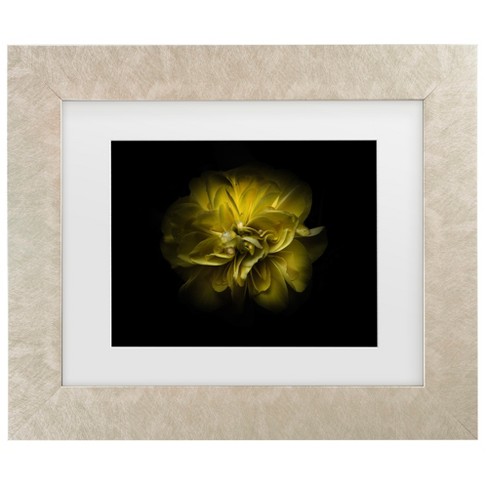 Trademark Fine Art - Brian Carson Backyard Flowers 67 Matted Framed Art - image 1 of 4