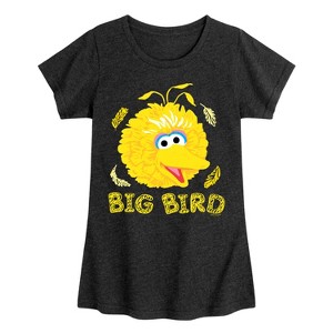 Girls' - Sesame Street - Big Bird Face Fitted Short Sleeve Graphic T-Shirt - 1 of 4