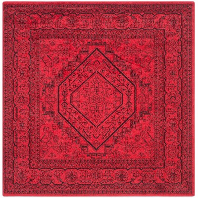 Adirondack ADR108 Machine Made Indoor Rug - Safavieh