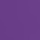 purple orchid