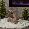 Christmas Natural Rattan Sitting Reindeer, 21in, Pre-Lit w/ 50 Warm White LED Lights, Plug In - 2 of 4