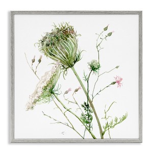 Stupell Industries Blooming Queen Anne's Lace Wildflower Watercolor Painting, 24" x 24" - 1 of 4